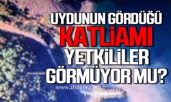 Zonguldak’ta uydunun gördüğü katliamı yetkililer görmüyor mu?