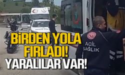 Birden yola fırladı! Yaralılar var!