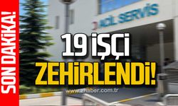 Bolu'da 19 işçi zehirlendi!