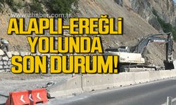 Alaplı- Ereğli yolunda çalışmalar başladı!