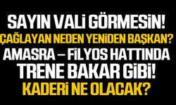 Sayın Vali görmesin!