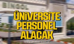 Bingöl Üniversitesi 23 sözleşmeli personel alacak!