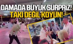 Düğünde damada büyük sürpriz! Takı yerine koyun hediye ettiler!