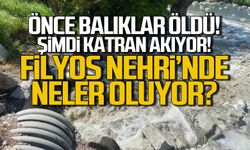 Önce balıklar öldü! Şimdi de katran akıyor! Filyos Nehri alarm veriyor!