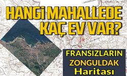 Fransızların Zonguldak haritası! Hangi mahallede kaç ev var?