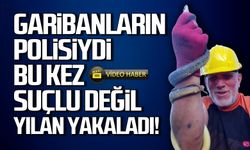 Garibanların polisi bu kez suçlu değil yılan yakaladı!