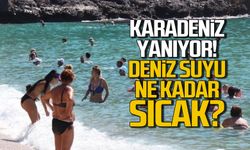 Karadeniz yanıyor! Zonguldak'ta deniz kaç derece?