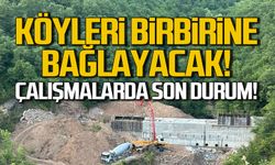 Ereğli'de köyleri birbirine bağlayacak! Çalışmalarda son durum!