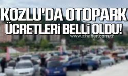 Kozlu'da otopark ücretleri belli oldu!