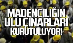Mehmet Torun "Madenciliğin ulu çınarları kesiliyor, kurutuluyor"