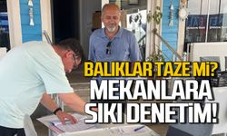 Balıklar taze mi? Mekanlara sıkı denetim!