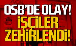 Çaycuma OSB'de olay! İşçiler zehirlendi!