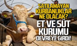 Satılamayan kurbanlıklar ne olacak? Et ve Süt Kurumu devreye girdi