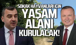 Çaycuma'da sokak hayvanları için yaşam alanı kurulacak!