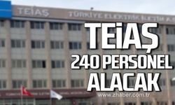 TEİAŞ 240 personel alacak!