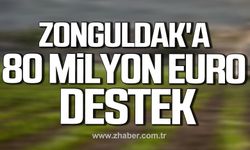 Zonguldak'ta yatırımcılara 80 milyon Euro'luk hibe desteği!