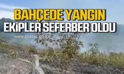 Alaplı'da fındık bahçesinde yangın! Ekipler seferber oldu