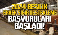Zonguldak’ta 2023 yılı besilik erkek sığır destekleme başvuruları başladı