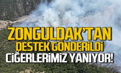Karabük'te büyük yangın! Zonguldak'tan takviye gönderiliyor!