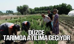 Düzce tarımda atılıma geçiyor