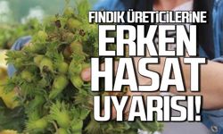 Fındık üreticilerine erken hasat uyarısı!