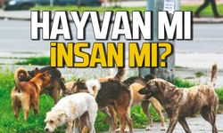 Hayvan mı İnsan mı?