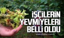 Bartın'da fındık işçilerinin yevmiyeleri belli oldu!