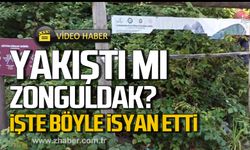 Yakıştı mı Zonguldak? Ali İsmail Atar böyle isyan etti!