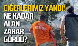 Karabük orman yangınında ne kadar alan zarar gördü!