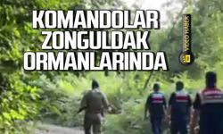 Komandoları Zonguldak ormanlarında! Tek tek uyardılar!