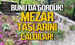 Bunu da gördük! Zonguldak'ta mezar taşlarını çaldılar!