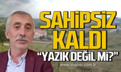 Tarlalar sahipsiz kaldı! "Yazık değil mi?"