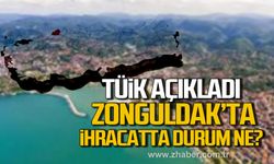 TÜİK açıkladı! Zonguldak'ta ithalat ve ihracatta durum ne?