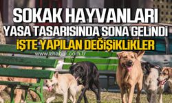 Sokak hayvanları yasa tasarısında sona gelindi! İşte yapılan bazı değişiklikler!