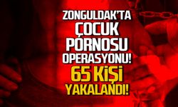Zonguldak'ta çocuk pornosu operasyonu! 65 kişi yakalandı!