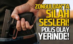 Zonguldak Bahçelievler'de silah sesleri!