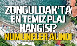 Zonguldak'ta en temiz plaj hangisi? Numuneler alındı