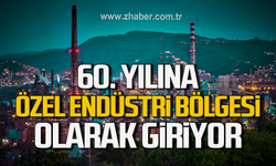 Erdemir 60. yılına Özel Endüstri Bölgesi olarak giriyor