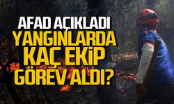 AFAD açıkladı! Yangınlarda kaç ekip görev aldı?