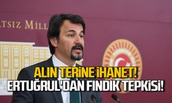 "Alın terine ihanet" Ertuğrul'dan fındık tepkisi