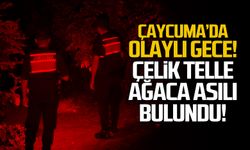 Çaycuma'da olaylı gece! Çelik telle ağaca asılı bulundu!