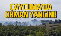 Çaycuma'da orman yangını! Ekipler seferber oldu!