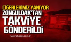 Ciğerlerimiz yanıyor! Gerede orman yangınına Zonguldak'tan takviye gönderildi!