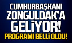 Cumhurbaşkanı Zonguldak'a geliyor! Programı belli oldu!