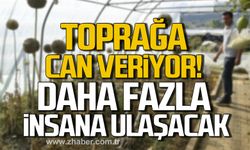 Yerel tohum toprağa can veriyor! "Daha fazla insana ulaşacak"