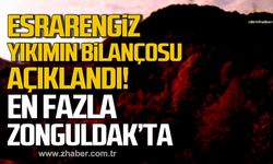 Ormanlardaki esrarengiz yıkımın bilançosu ağırlaştı! En fazla Zonguldak'ta!