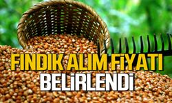 Fındık alım fiyatı belirlendi