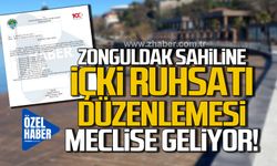 Zonguldak Sahili'ne içki ruhsatı düzenlemesi geliyor!