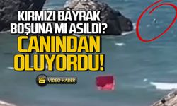 Kırmızı bayrağa aldırmadı! Kayalıklara sürüklendi!