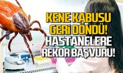 Kene kabusu geri döndü! Hastanelere rekor başvuru!